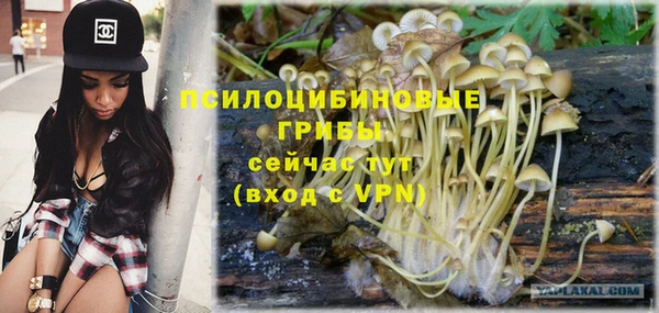 дживик Алексеевка