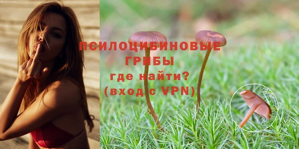 дживик Алексеевка