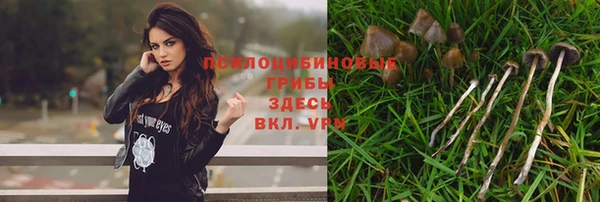 дживик Алексеевка