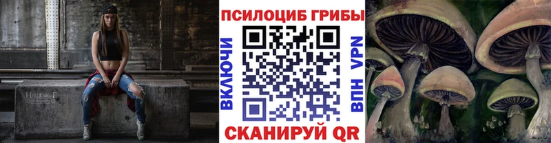 Псилоцибиновые грибы GOLDEN TEACHER  как найти наркотики  Ачинск 